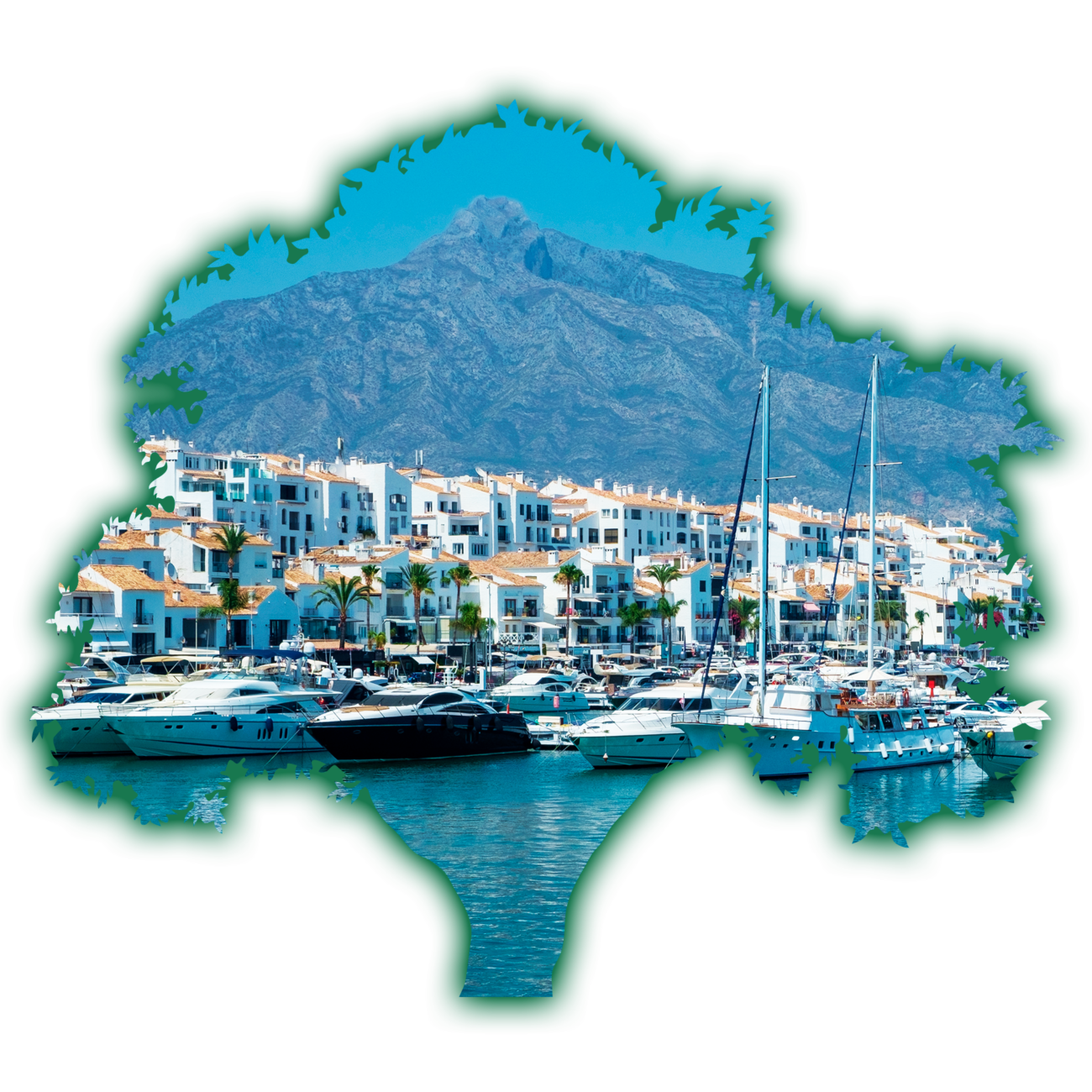 agencia de seguros en marbella